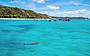 Dolphin & Tangalooma Wrecks Cruise from Brisbane