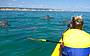 Wild dolphins playing around the kayaks
