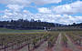AAT Kings Hunter Valley Harvest Wine Experience (J14)